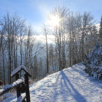 (103/111): Wycieczka w Beskid �l�ski 29.11.2015r.