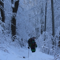(104/111): Wycieczka w Beskid �l�ski 29.11.2015r.