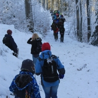 (106/111): Wycieczka w Beskid �l�ski 29.11.2015r.