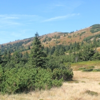 (28/47): Wycieczka na Babi Gr 30.08.2015r.