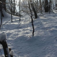 (125/223): Trzy dni w Beskidzie lskim  31.01 - 02.02.2015r.
