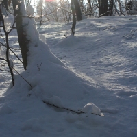 (126/223): Trzy dni w Beskidzie lskim  31.01 - 02.02.2015r.