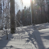 (130/223): Trzy dni w Beskidzie lskim  31.01 - 02.02.2015r.