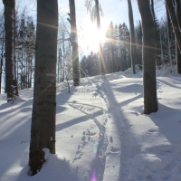 (131/223): Trzy dni w Beskidzie lskim  31.01 - 02.02.2015r.
