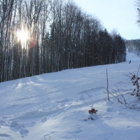 (132/223): Trzy dni w Beskidzie lskim  31.01 - 02.02.2015r.