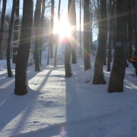 (136/223): Trzy dni w Beskidzie lskim  31.01 - 02.02.2015r.