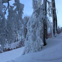 (138/223): Trzy dni w Beskidzie lskim  31.01 - 02.02.2015r.