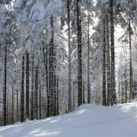 (147/223): Trzy dni w Beskidzie lskim  31.01 - 02.02.2015r.