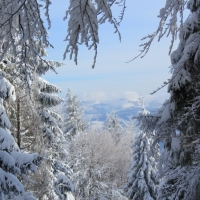 (149/223): Trzy dni w Beskidzie lskim  31.01 - 02.02.2015r.