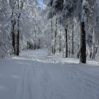 (153/223): Trzy dni w Beskidzie lskim  31.01 - 02.02.2015r.