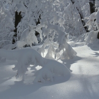 (154/223): Trzy dni w Beskidzie lskim  31.01 - 02.02.2015r.