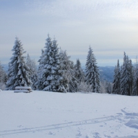 (158/223): Trzy dni w Beskidzie lskim  31.01 - 02.02.2015r.