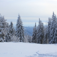 (159/223): Trzy dni w Beskidzie lskim  31.01 - 02.02.2015r.