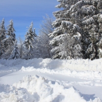 (166/223): Trzy dni w Beskidzie lskim  31.01 - 02.02.2015r.