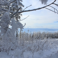 (167/223): Trzy dni w Beskidzie lskim  31.01 - 02.02.2015r.