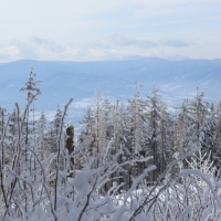 (168/223): Trzy dni w Beskidzie lskim  31.01 - 02.02.2015r.