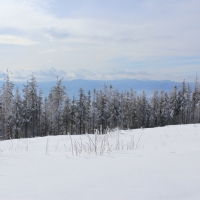 (170/223): Trzy dni w Beskidzie lskim  31.01 - 02.02.2015r.