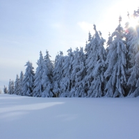 (179/223): Trzy dni w Beskidzie lskim  31.01 - 02.02.2015r.