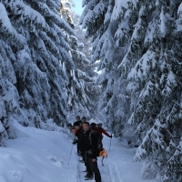 (180/223): Trzy dni w Beskidzie lskim  31.01 - 02.02.2015r.