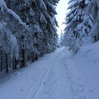 (181/223): Trzy dni w Beskidzie lskim  31.01 - 02.02.2015r.