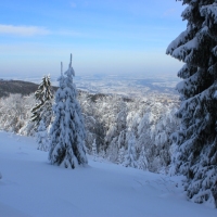 (186/223): Trzy dni w Beskidzie lskim  31.01 - 02.02.2015r.