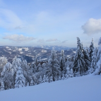 (191/223): Trzy dni w Beskidzie lskim  31.01 - 02.02.2015r.