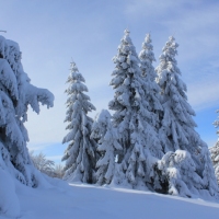 (192/223): Trzy dni w Beskidzie lskim  31.01 - 02.02.2015r.