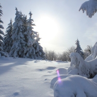 (194/223): Trzy dni w Beskidzie lskim  31.01 - 02.02.2015r.