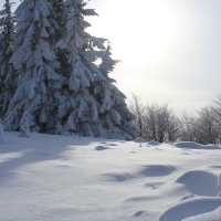 (195/223): Trzy dni w Beskidzie lskim  31.01 - 02.02.2015r.