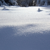 (196/223): Trzy dni w Beskidzie lskim  31.01 - 02.02.2015r.