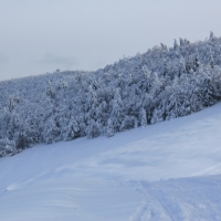 (203/223): Trzy dni w Beskidzie lskim  31.01 - 02.02.2015r.