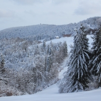 (205/223): Trzy dni w Beskidzie lskim  31.01 - 02.02.2015r.