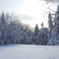 (207/223): Trzy dni w Beskidzie lskim  31.01 - 02.02.2015r.