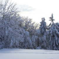 (209/223): Trzy dni w Beskidzie lskim  31.01 - 02.02.2015r.