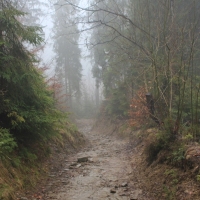 (7/77): Wycieczka na Turbacz 13.03.2016r.