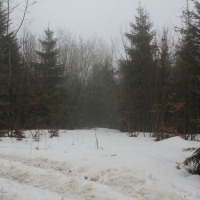 (9/77): Wycieczka na Turbacz 13.03.2016r.