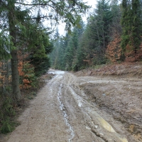 (12/77): Wycieczka na Turbacz 13.03.2016r.