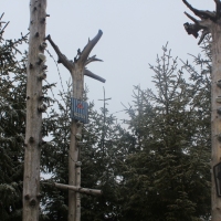 (23/77): Wycieczka na Turbacz 13.03.2016r.