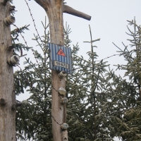 (24/77): Wycieczka na Turbacz 13.03.2016r.