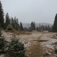 (25/77): Wycieczka na Turbacz 13.03.2016r.