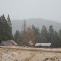 (26/77): Wycieczka na Turbacz 13.03.2016r.