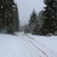 (32/77): Wycieczka na Turbacz 13.03.2016r.