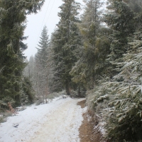 (33/77): Wycieczka na Turbacz 13.03.2016r.