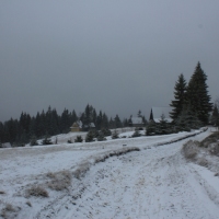 (35/77): Wycieczka na Turbacz 13.03.2016r.