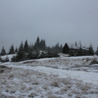 (36/77): Wycieczka na Turbacz 13.03.2016r.