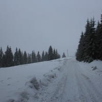 (44/77): Wycieczka na Turbacz 13.03.2016r.