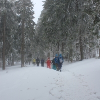 (48/77): Wycieczka na Turbacz 13.03.2016r.