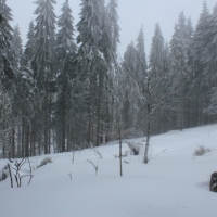(49/77): Wycieczka na Turbacz 13.03.2016r.