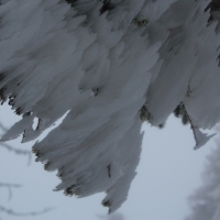 (55/77): Wycieczka na Turbacz 13.03.2016r.