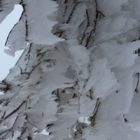 (56/77): Wycieczka na Turbacz 13.03.2016r.
